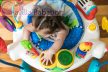 BABY EINSTEIN Ugráló-aktív centrum 2in1 Neighborhood Symphony 6hó+ 11 kg-ig