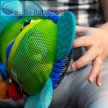 BABY EINSTEIN Aktív játék C-karikán teknős Neptune’s Sensory Sidekick™ 0hó+